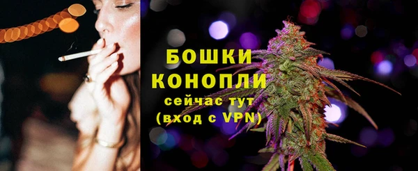 альфа пвп Елизово